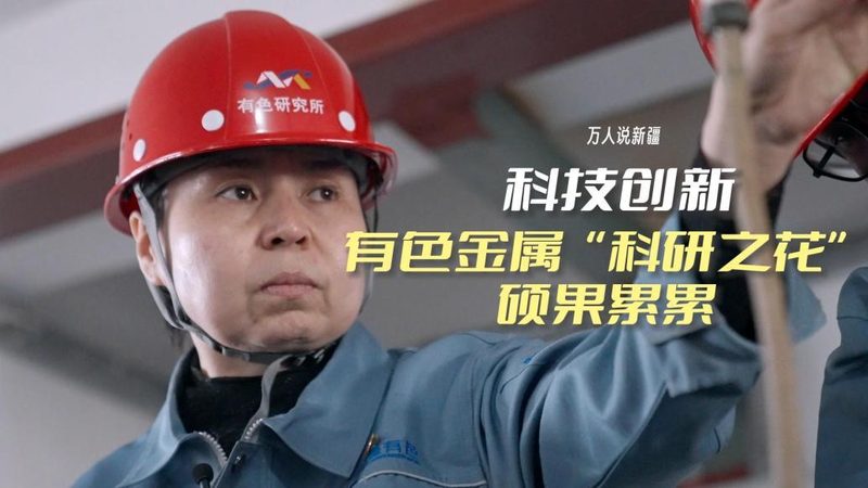 湖仓一体与云原生数据仓库：本质区别与适用场景